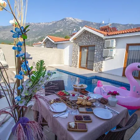 Vila Likya Safir 2+1 Villa, Oezel Havuzlu,